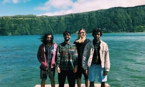 Flamingods
