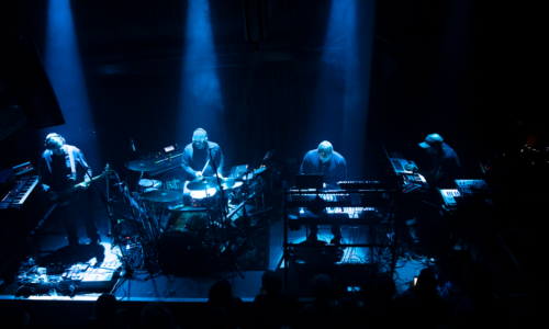 The Bays Live