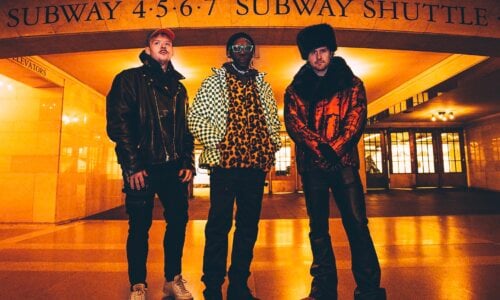 Too Many Zooz
