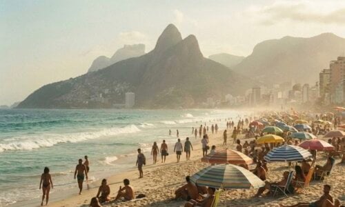 A Night of Bossa Nova